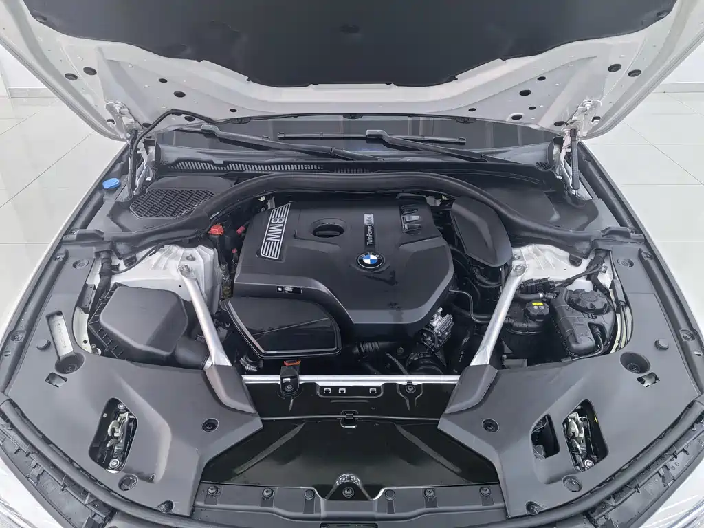 BMW BMW 5 Series 2020 530Li Luxury M Sport Package 2020 - thumbnail 22