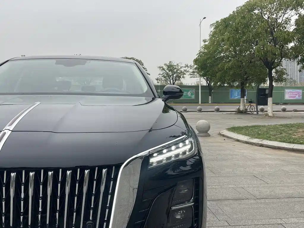 Hongqi Hongqi H5 2023 1.5T DCT Smart Connect Flag Rhythm Edition 2023 - thumbnail 9
