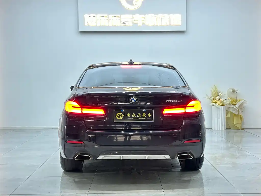 BMW BMW 5 Series 2023 530Li Leading Model M Sport Package 2023 - thumbnail 6