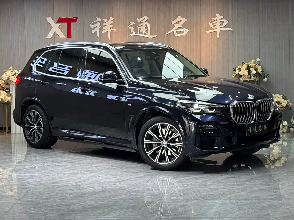 BMW BMW X5 xDrive30i M Sport Package (2021 Model Year) 2021 - thumbnail 3
