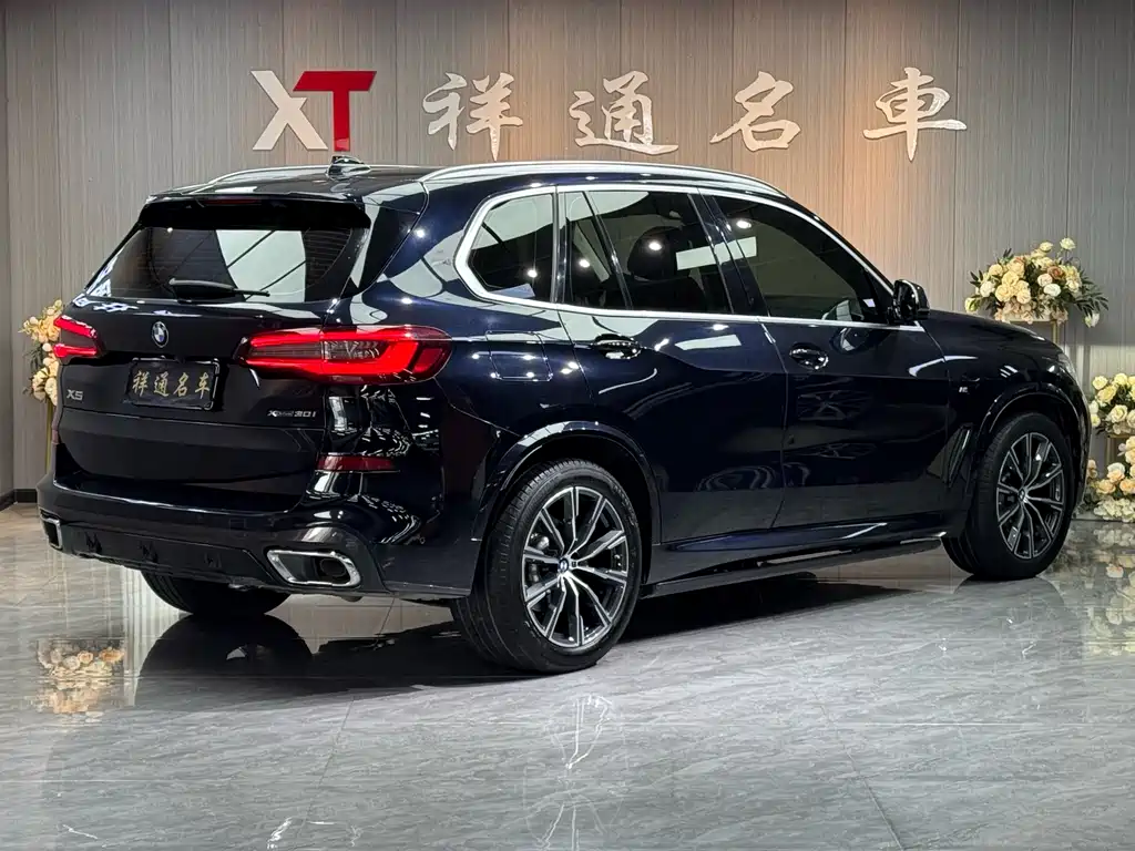 BMW BMW X5 xDrive30i M Sport Package (2021 Model Year) 2021 - thumbnail 19