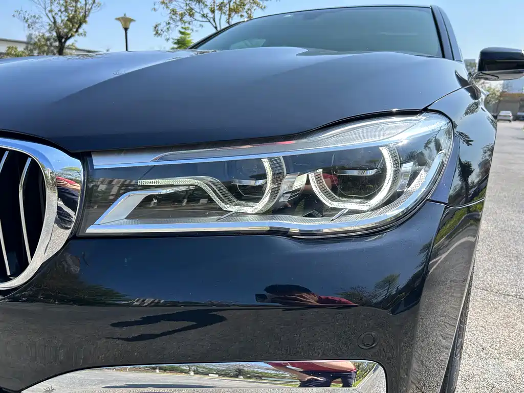 BMW BMW 7 Series 2018 730Li M Sport Package Luxury Edition 2018 - thumbnail 8