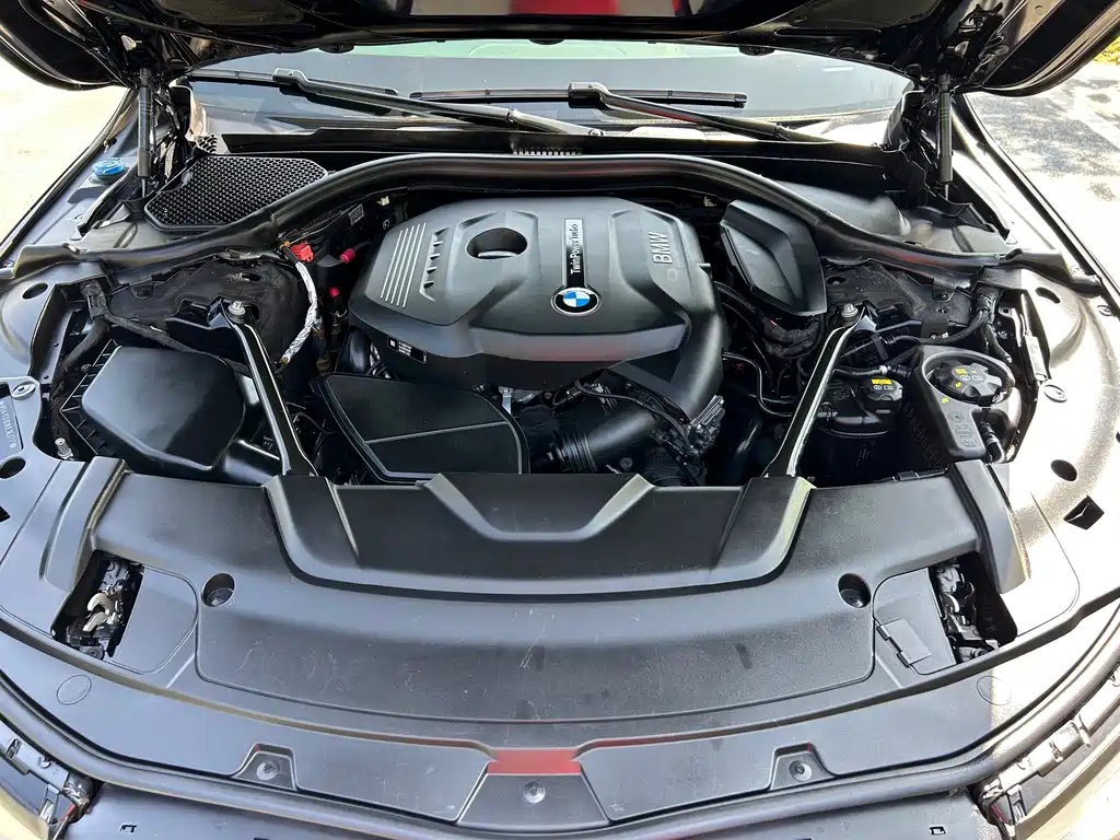 BMW BMW 7 Series 2018 730Li M Sport Package Luxury Edition 2018 - thumbnail 9