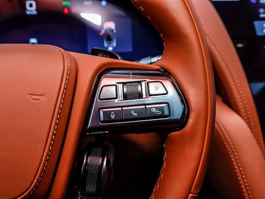 BYD UM U8 2023 Luxury Edition 2024 - thumbnail 27