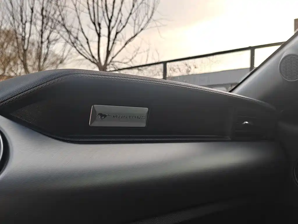 Ford Mustang 2019 2.3L EcoBoost 2019 - thumbnail 20