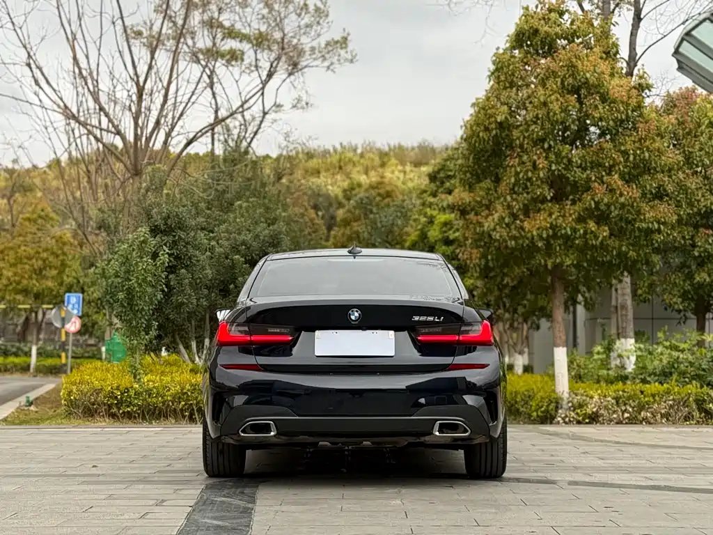 BMW BMW 3 Series 2020 325Li M Sport Package 2020 - thumbnail 8