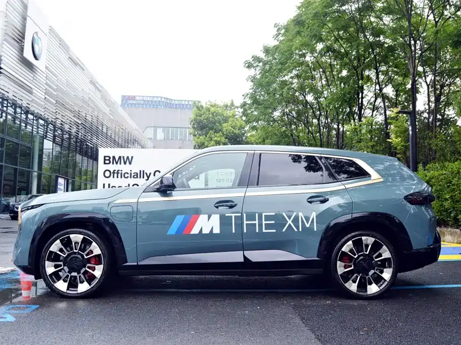 BMW BMW XM 2023 Base Model 2024 - thumbnail 6