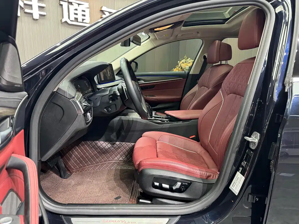 BMW BMW 5 Series 2021 530Li Luxury Package 2020 - thumbnail 5