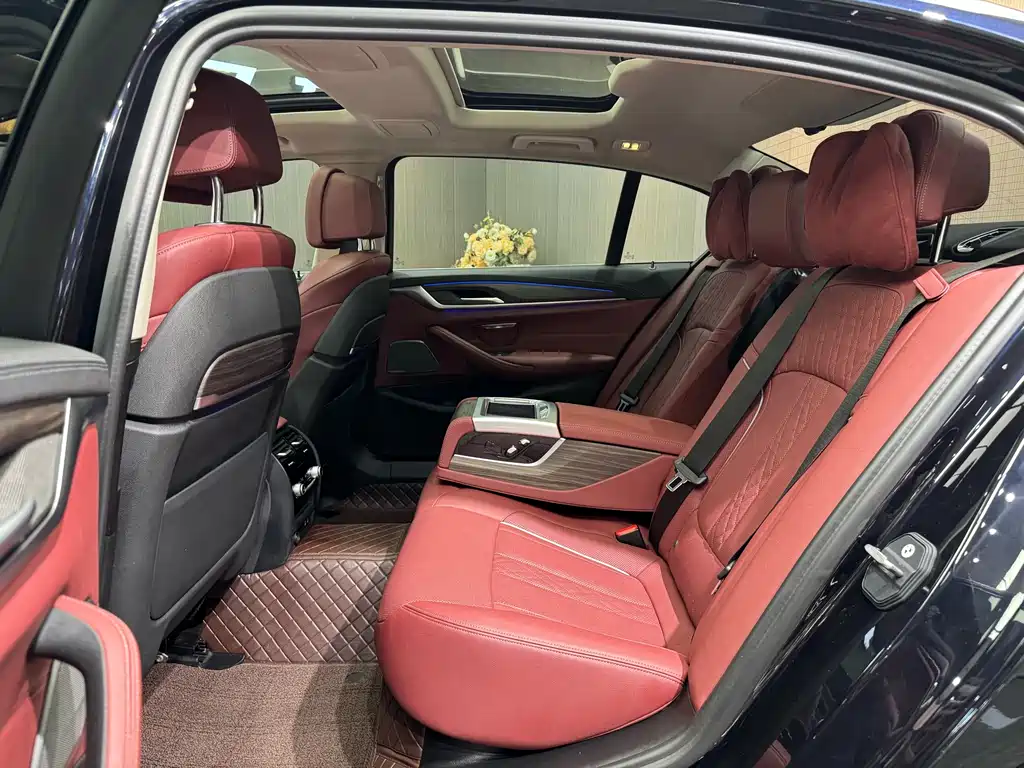 BMW BMW 5 Series 2021 530Li Luxury Package 2020 - thumbnail 7