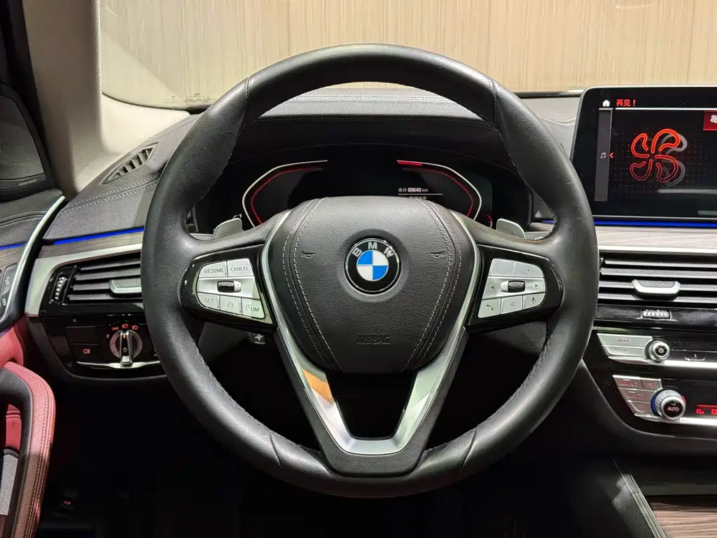 BMW BMW 5 Series 2021 530Li Luxury Package 2020 - thumbnail 16