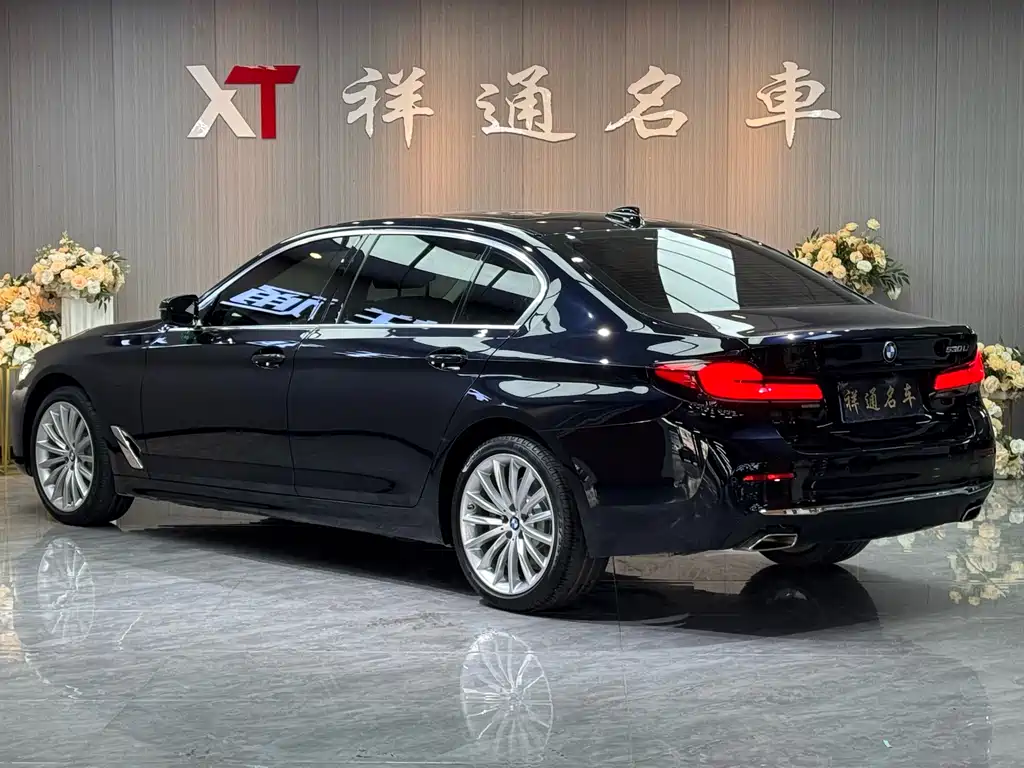 BMW BMW 5 Series 2021 530Li Luxury Package 2020 - thumbnail 20