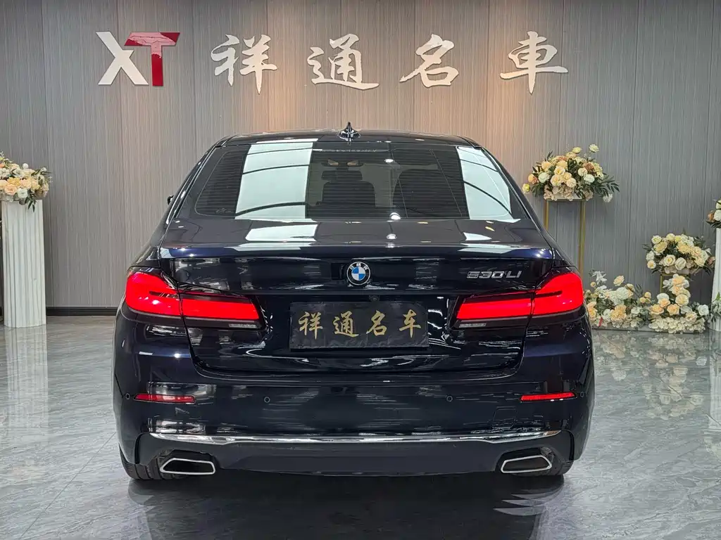 BMW BMW 5 Series 2021 530Li Luxury Package 2020 - thumbnail 21