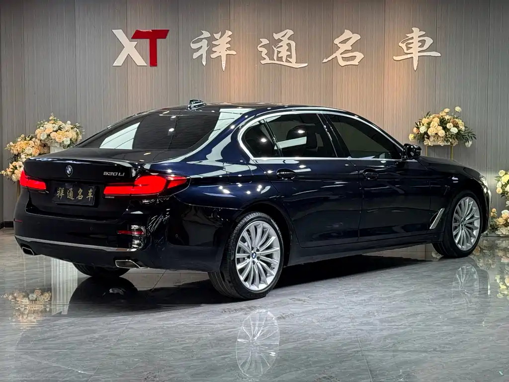 BMW BMW 5 Series 2021 530Li Luxury Package 2020 - thumbnail 22