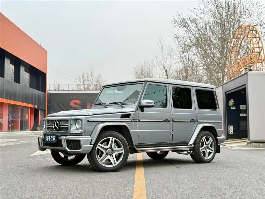 Mercedes-Benz Mercedes-Benz G-Class AMG 2013 AMG G 65 2013