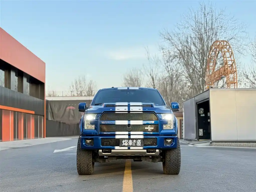 Ford Ford F-150 Raptor 2017 5.0L Shelby Edition 2019 - thumbnail 2