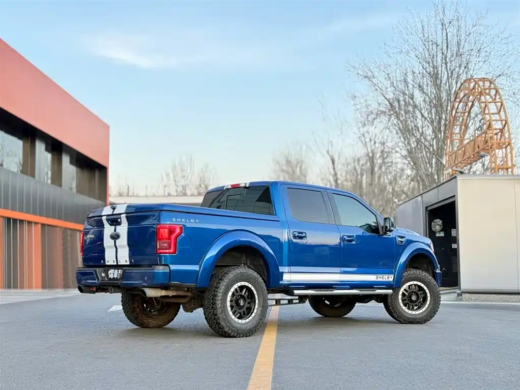 Ford Ford F-150 Raptor 2017 5.0L Shelby Edition 2019 - thumbnail 3