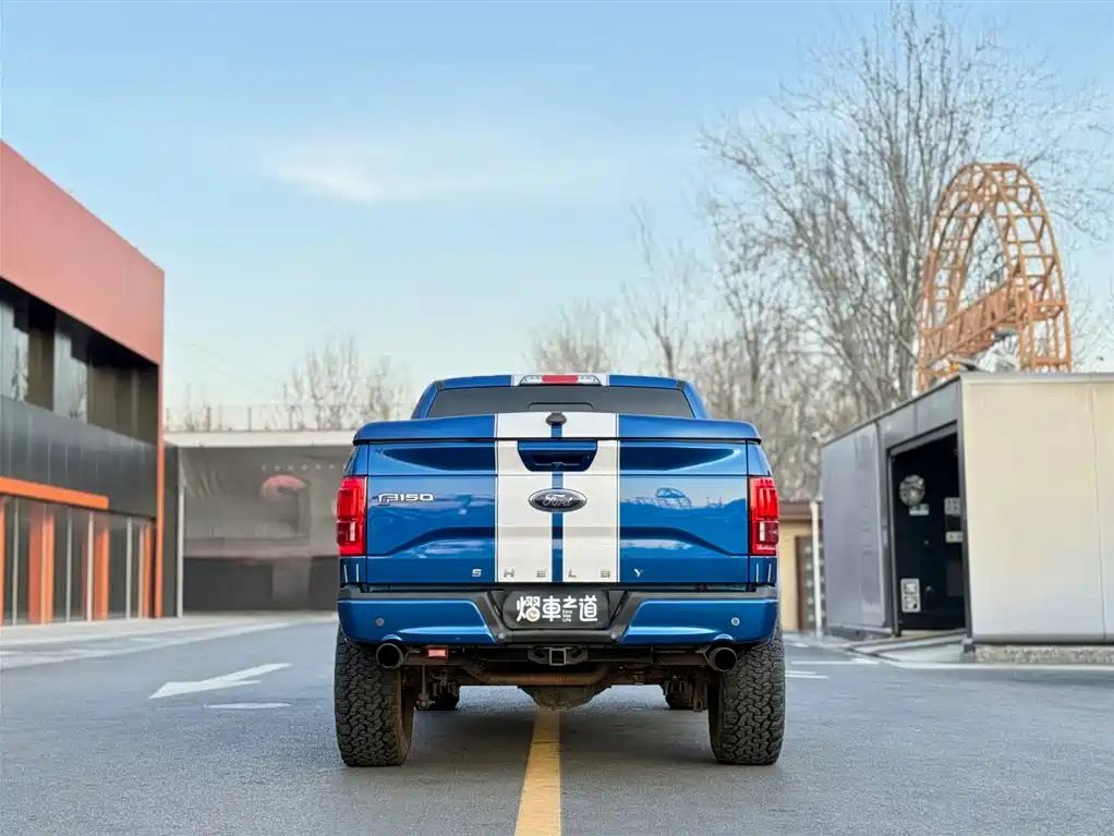 Ford Ford F-150 Raptor 2017 5.0L Shelby Edition 2019 - thumbnail 4