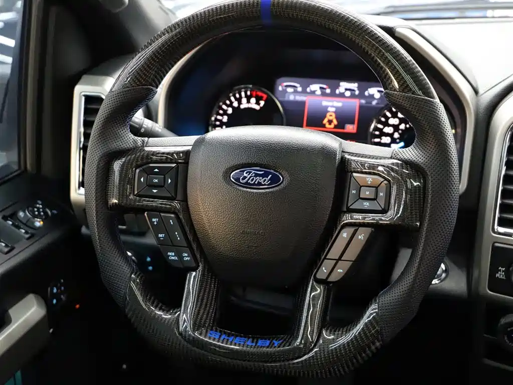 Ford Ford F-150 Raptor 2017 5.0L Shelby Edition 2019 - thumbnail 13