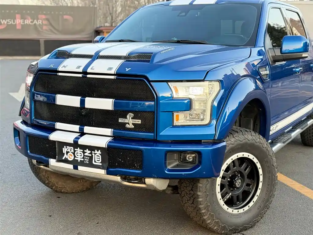 Ford Ford F-150 Raptor 2017 5.0L Shelby Edition 2019 - thumbnail 27