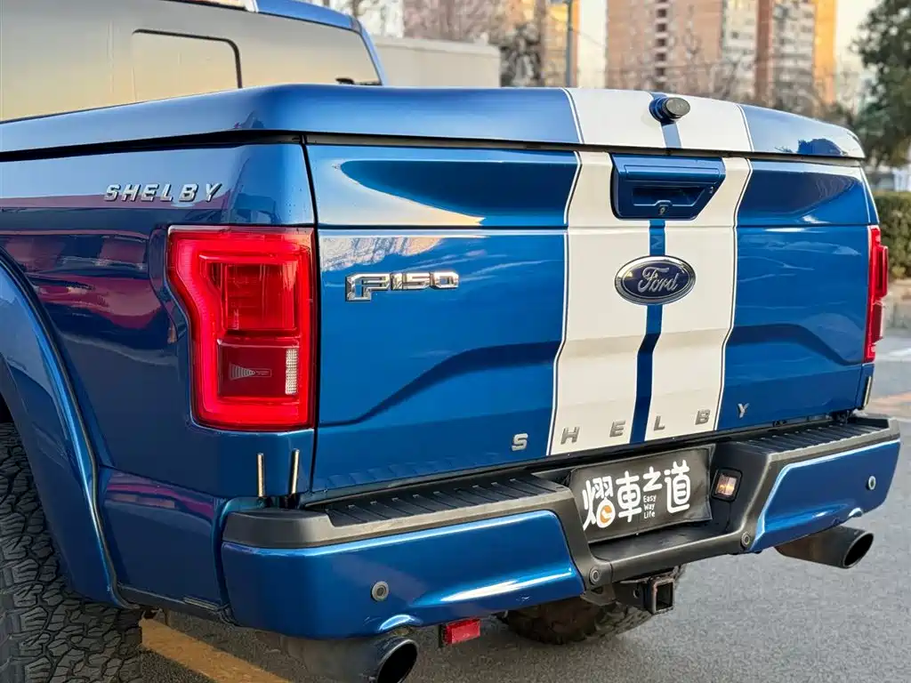 Ford Ford F-150 Raptor 2017 5.0L Shelby Edition 2019 - thumbnail 28