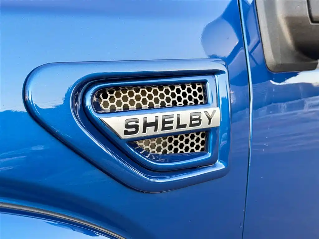 Ford Ford F-150 Raptor 2017 5.0L Shelby Edition 2019 - thumbnail 29