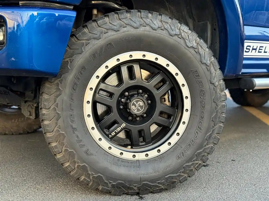 Ford Ford F-150 Raptor 2017 5.0L Shelby Edition 2019 - thumbnail 30