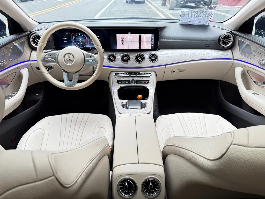 Mercedes-Benz Mercedes-Benz CLS 2018 CLS 300 Luxury Edition 2019 - thumbnail 15