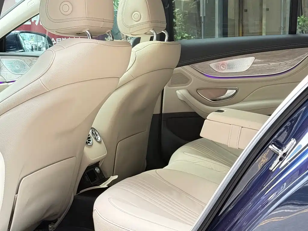 Mercedes-Benz Mercedes-Benz CLS 2018 CLS 300 Luxury Edition 2019 - thumbnail 19