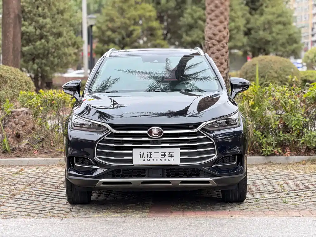 BYD BYD Tang 2018 2.0T Automatic Intelligent Premium 7-seater China V 2018 - thumbnail 2