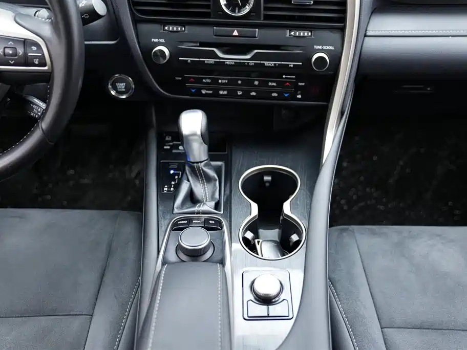Lexus Lexus RX 300 2016 FWD Premium Edition China V 2018 - thumbnail 10