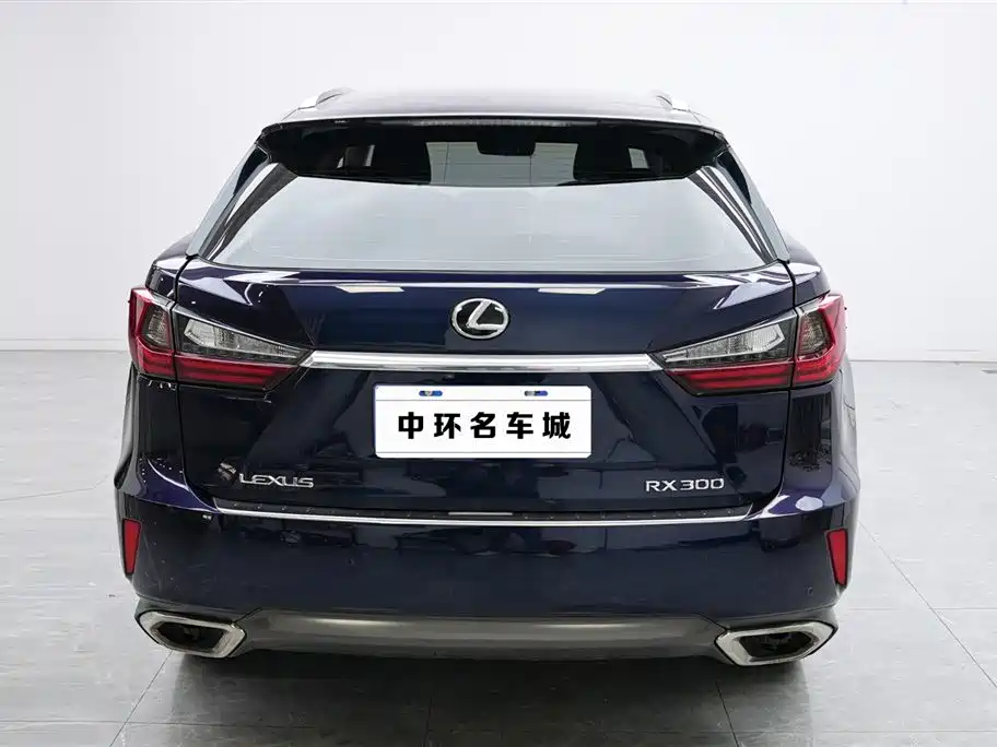 Lexus Lexus RX 300 2016 FWD Premium Edition China V 2018 - thumbnail 16