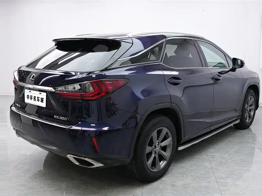 Lexus Lexus RX 300 2016 FWD Premium Edition China V 2018 - thumbnail 17