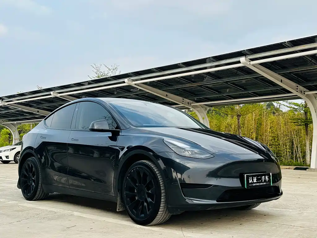 Tesla Model Y 2024 Rear-Wheel Drive 2024 - thumbnail 3