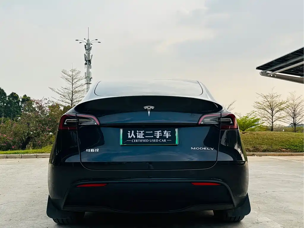 Tesla Model Y 2024 Rear-Wheel Drive 2024 - thumbnail 4