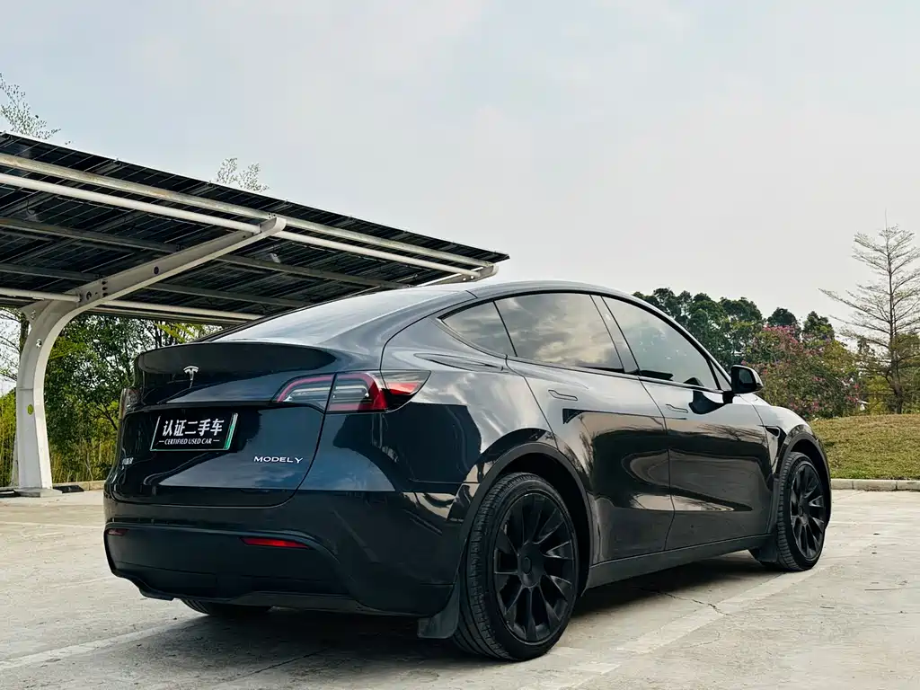 Tesla Model Y 2024 Rear-Wheel Drive 2024 - thumbnail 5
