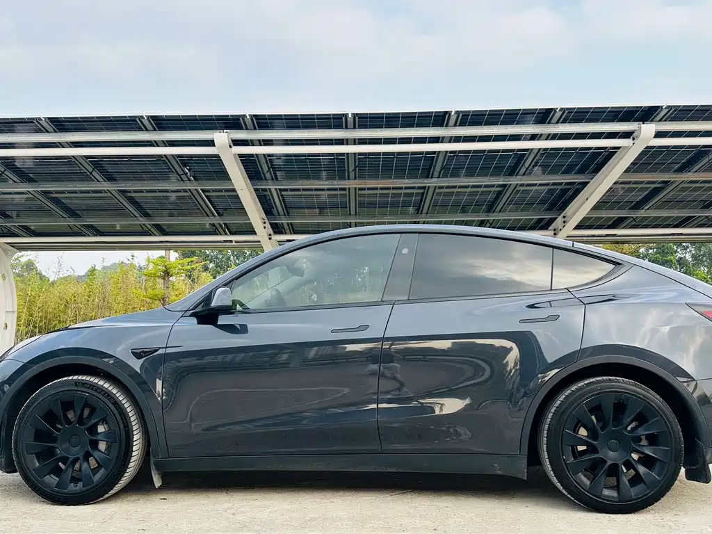 Tesla Model Y 2024 Rear-Wheel Drive 2024 - thumbnail 6