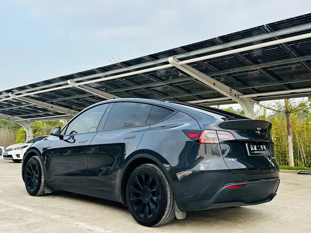 Tesla Model Y 2024 Rear-Wheel Drive 2024 - thumbnail 7