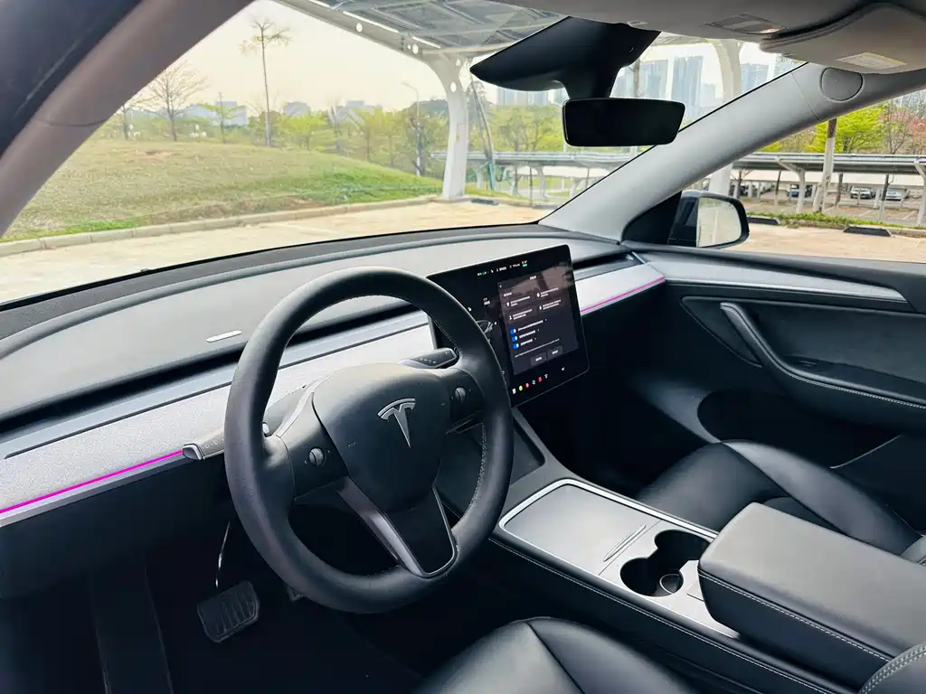 Tesla Model Y 2024 Rear-Wheel Drive 2024 - thumbnail 11