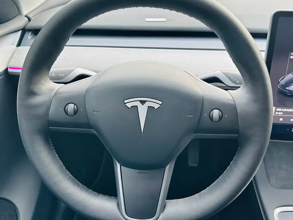 Tesla Model Y 2024 Rear-Wheel Drive 2024 - thumbnail 12