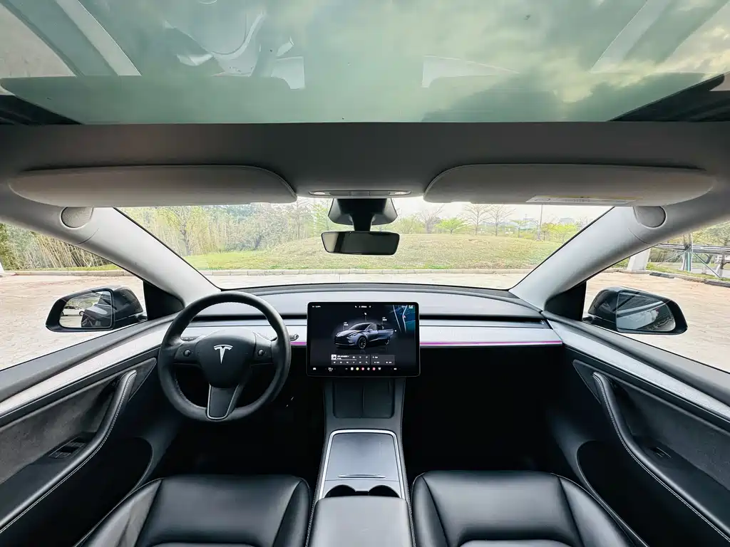 Tesla Model Y 2024 Rear-Wheel Drive 2024 - thumbnail 19