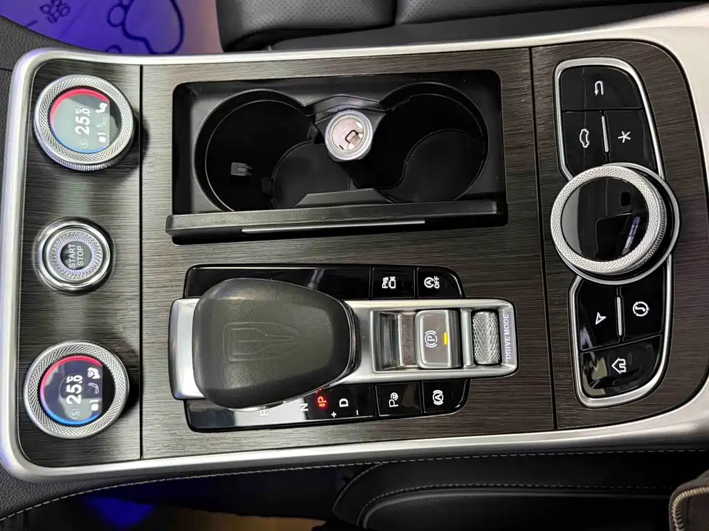 Hongqi Hongqi H9 2022 3.0T Smart Connect Flag Leader Four-Seat Version 2022 - thumbnail 21