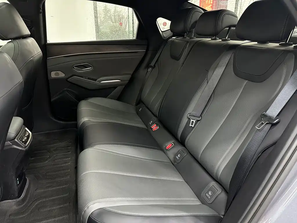 BYD BYD Qin L 2025 DM-i Intelligent Driving Version 120KM Leading Model 2025 - thumbnail 20