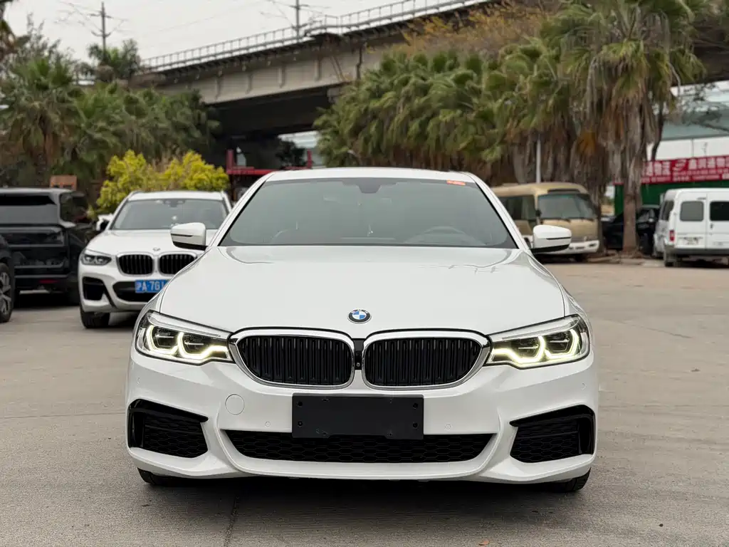 BMW BMW 5 Series 2020 530Li Luxury M Sport Package 2020 - thumbnail 2