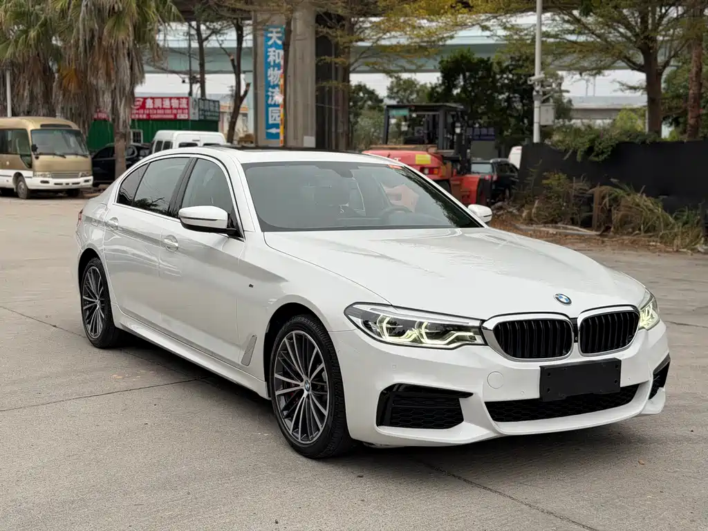 BMW BMW 5 Series 2020 530Li Luxury M Sport Package 2020 - thumbnail 3