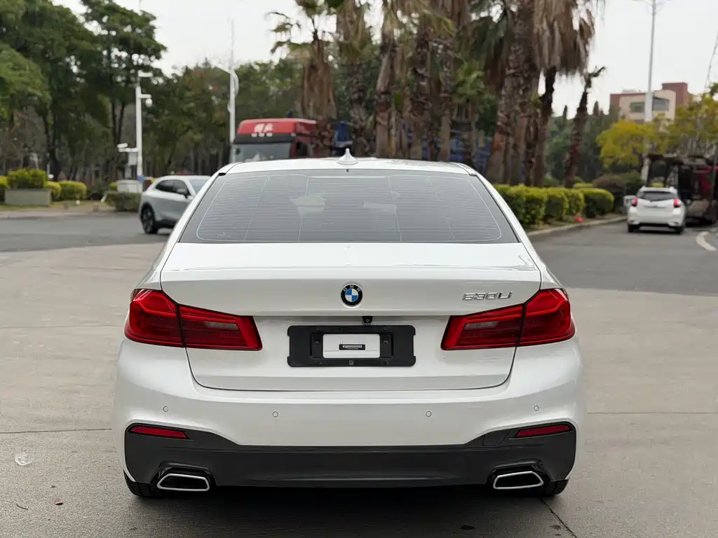 BMW BMW 5 Series 2020 530Li Luxury M Sport Package 2020 - thumbnail 8
