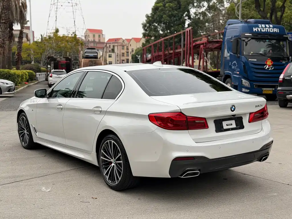 BMW BMW 5 Series 2020 530Li Luxury M Sport Package 2020 - thumbnail 9