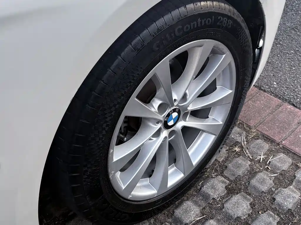 BMW BMW 3 Series GT 2016 320i Fashion Edition 2017 - thumbnail 10