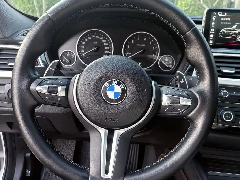 BMW BMW 3 Series GT 2016 320i Fashion Edition 2017 - thumbnail 18
