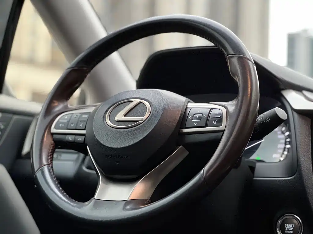 Lexus Lexus RX 300 AWD Elegant Edition 2016 Model VI 2019 - thumbnail 16