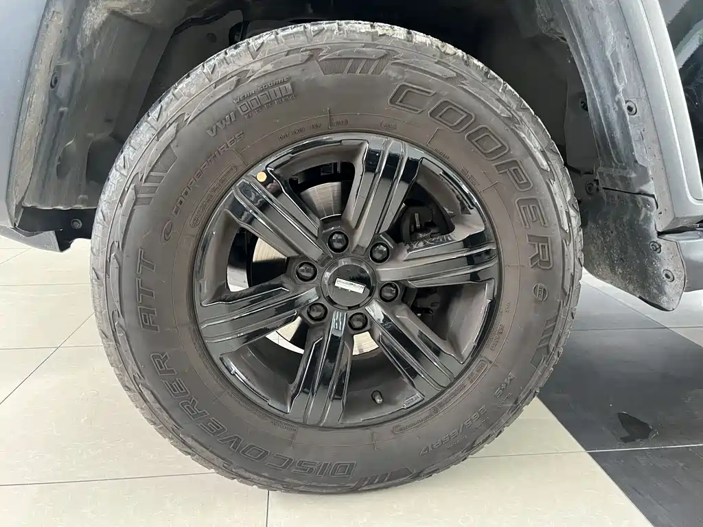 Tank Tank 300 2021 Off-road Edition 2.0T Conqueror 2021 - thumbnail 6